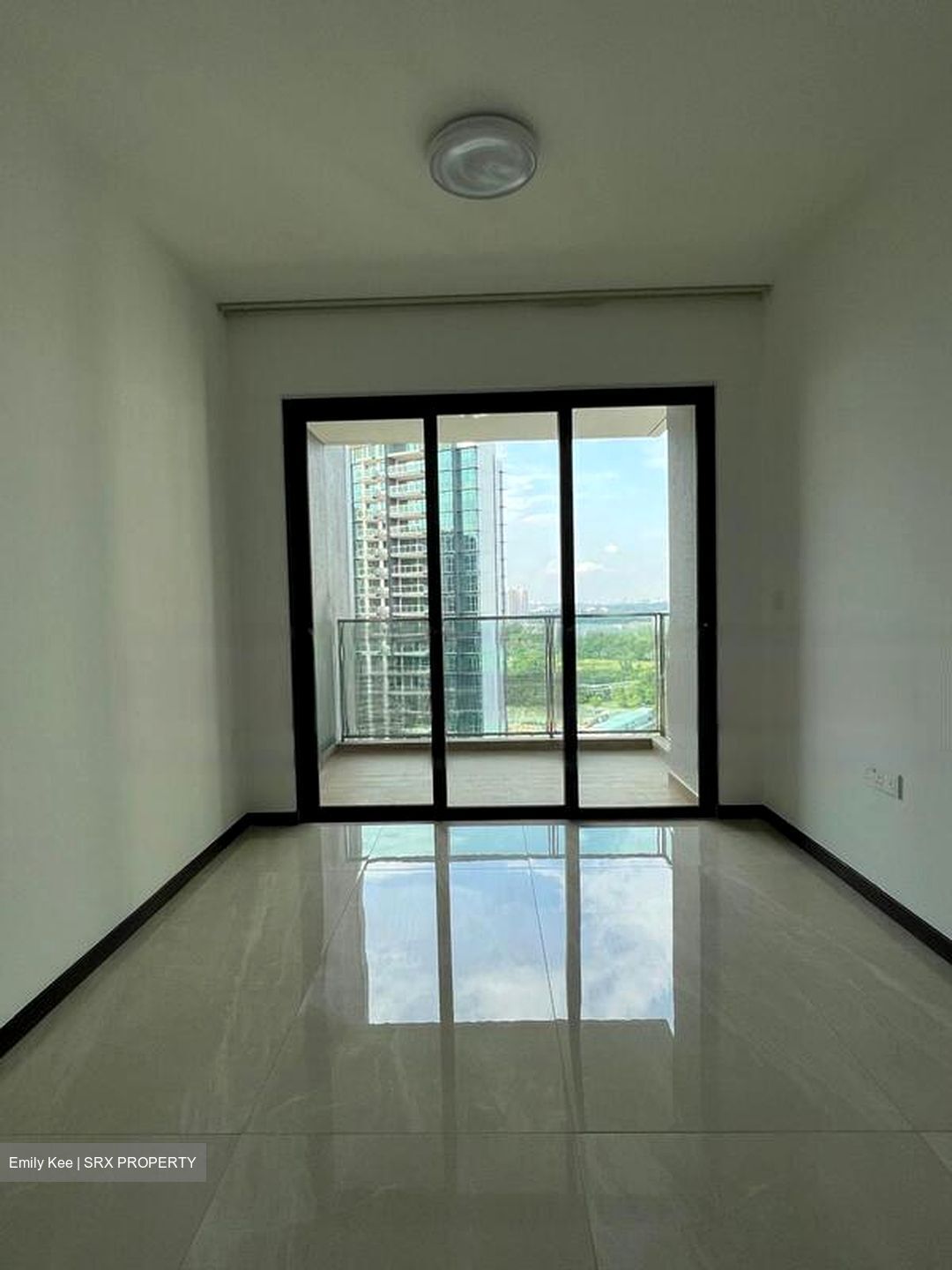 Normanton Park (D5), Apartment #471320811